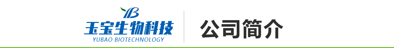 公司簡(jiǎn)介