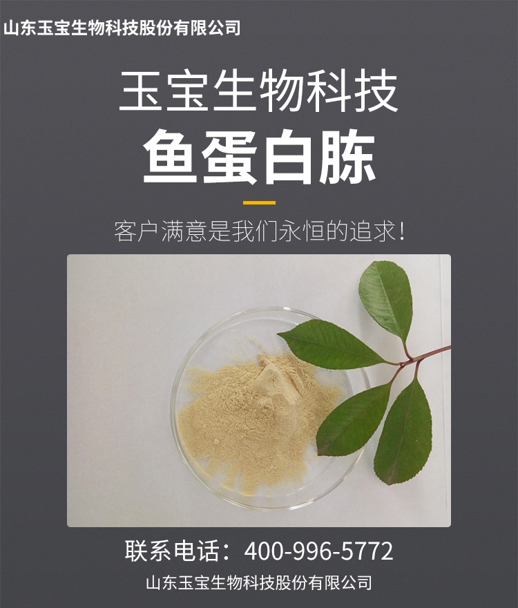 魚蛋白胨