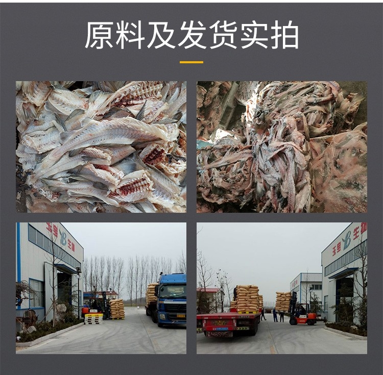 魚蛋白胨